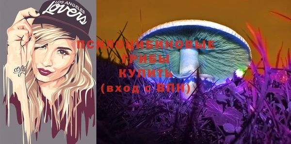 синтетический гашиш Сосновоборск