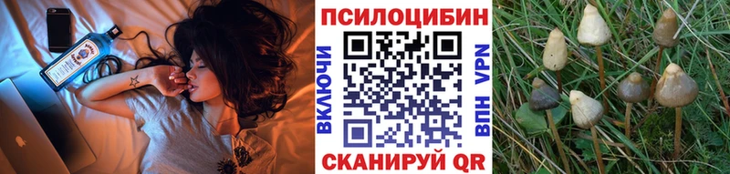 где продают   Макаров  MEGA маркетплейс  Псилоцибиновые грибы GOLDEN TEACHER 