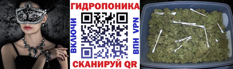 Каннабис THC 21% Макаров
